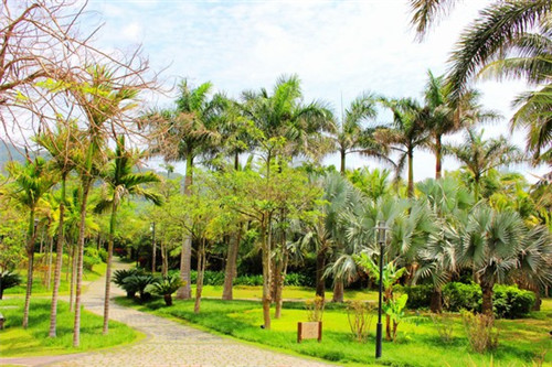 爱尚瓦香鸡米饭