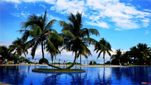 玲珑草莓蛋糕加盟费多少