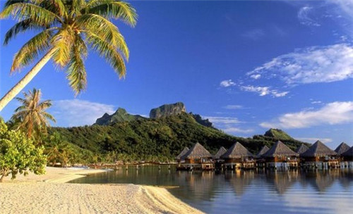 在镇宁布依族苗族自治县加盟奶茶店哪些品牌回本快，加盟察理王子奶茶在镇宁布依族苗族自治县开店什么位置好