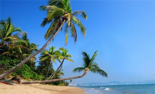 焦作休闲零食店加盟费多少，焦作小食品批发经销商