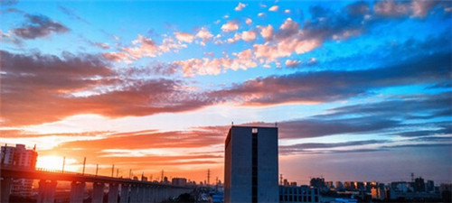 营养师考试教材2025（营养师考试教材网课）