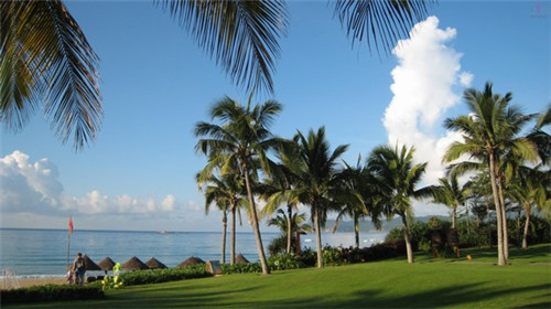 夹毛球玩具品牌排行（夹毛球教案）