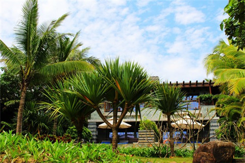 商用住宅楼如何装修（商用住宅设计图）